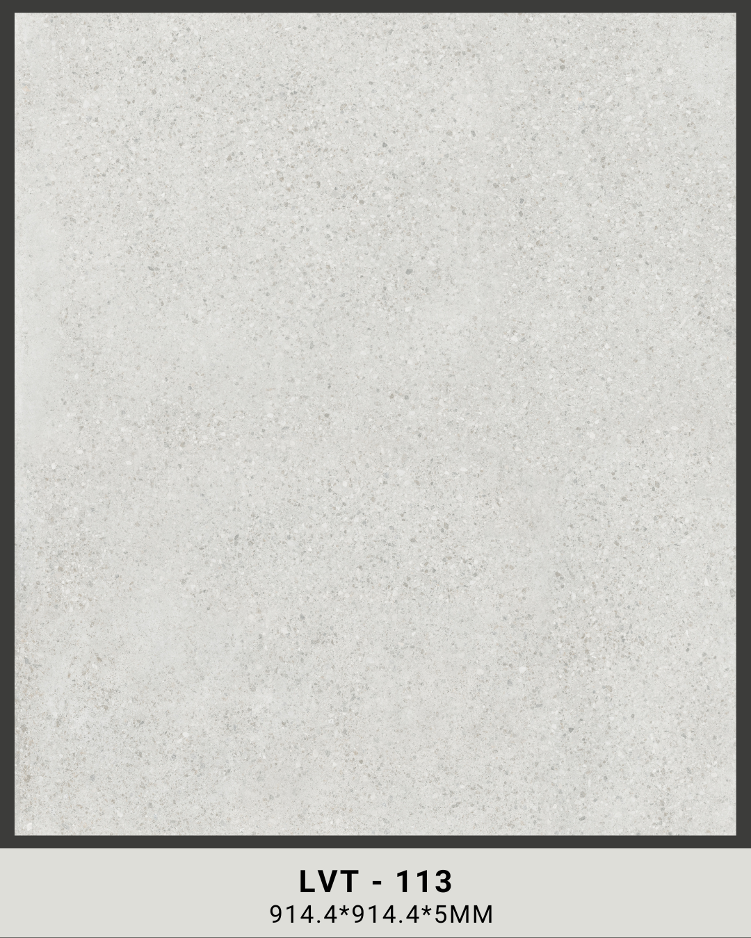 LVT 113